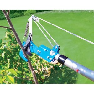 PROREGAL Lange Baumschere mit Säge in Aktion, schneidet Ast. Gartenhandgerät für Baumschnitt.