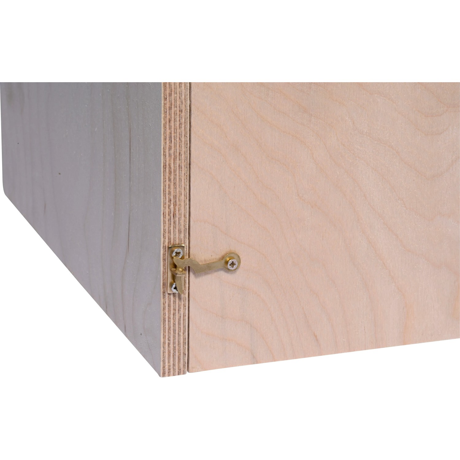 Detailansicht des braunen Dobar Hornissenkastens aus Holz mit Verschluss.