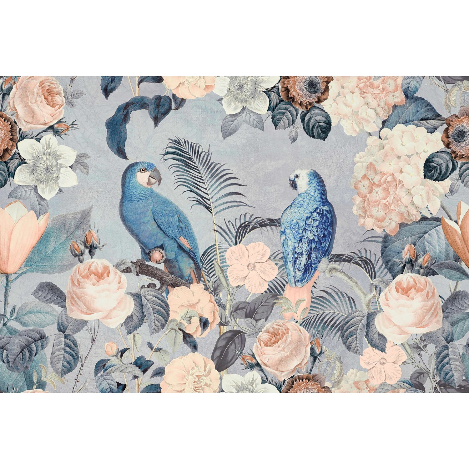 Fototapete Floral Blumen Vögel Grau Weiß Blau 4,00 m x 2,70 m FSC® günstig online kaufen