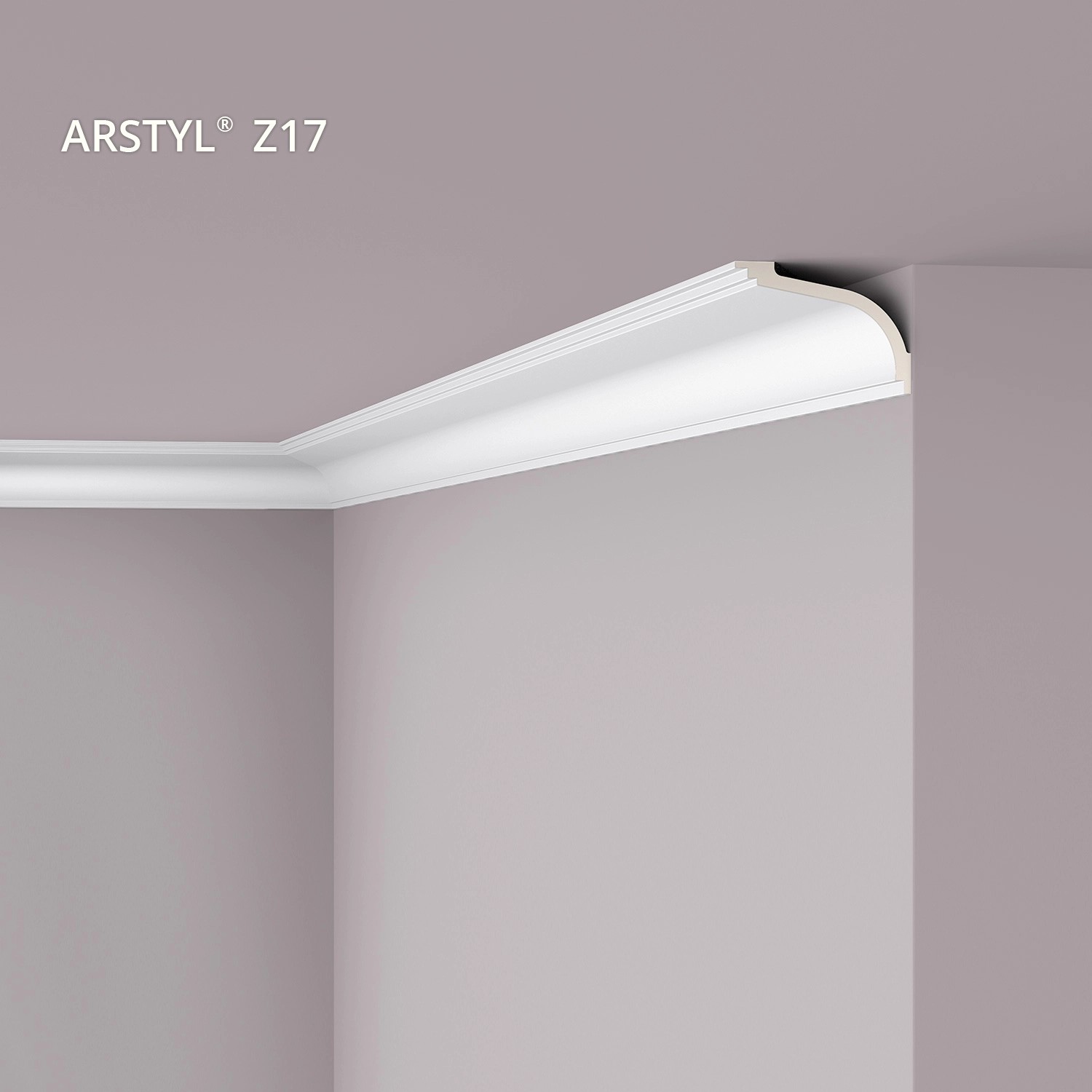 NOEL & MARQUET NMC Z17-Box ARSTYL Eckleiste, weiße Stuckleiste im Raum.