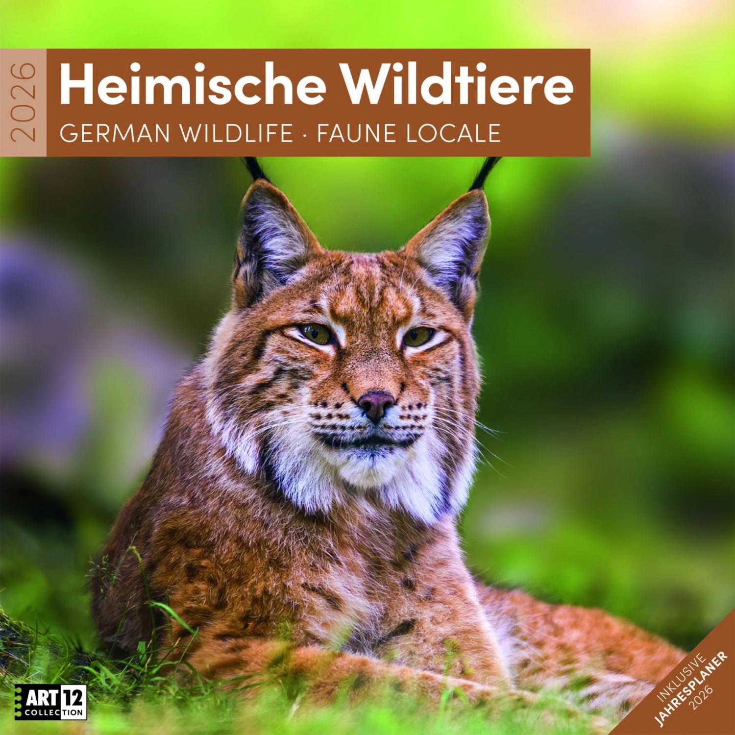 Heimische Wildtiere Kalender 2026 - 30x30 günstig online kaufen
