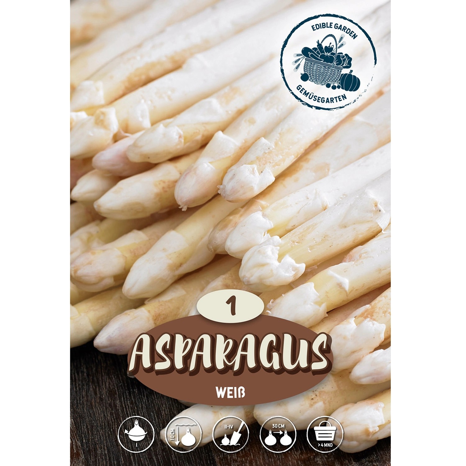 Bleichspargel ''Backlim'' 1 Stück Weiß Asparagus officinalis