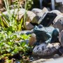 Heissner Teichfigur Frosch Solar Set mit Pumpe im Gartenteich, Wasserspiel mit Solarpanel.