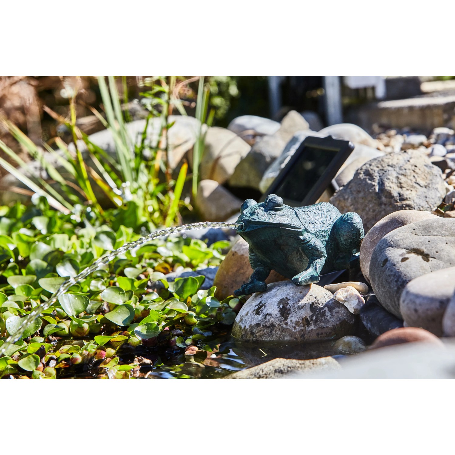 Heissner Teichfigur Frosch Solar Set mit Pumpe im Gartenteich, Wasserspiel mit Solarpanel.