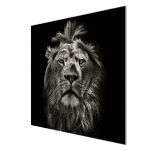 Banjado Herdabdeckplatte Glas mit Löwen-Motiv, 60x52cm, auch als Schneidebrett nutzbar.