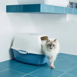 Rotho Katzentoilette Eco Bailey in Horizontblau/Sand mit Katze beim Verlassen.