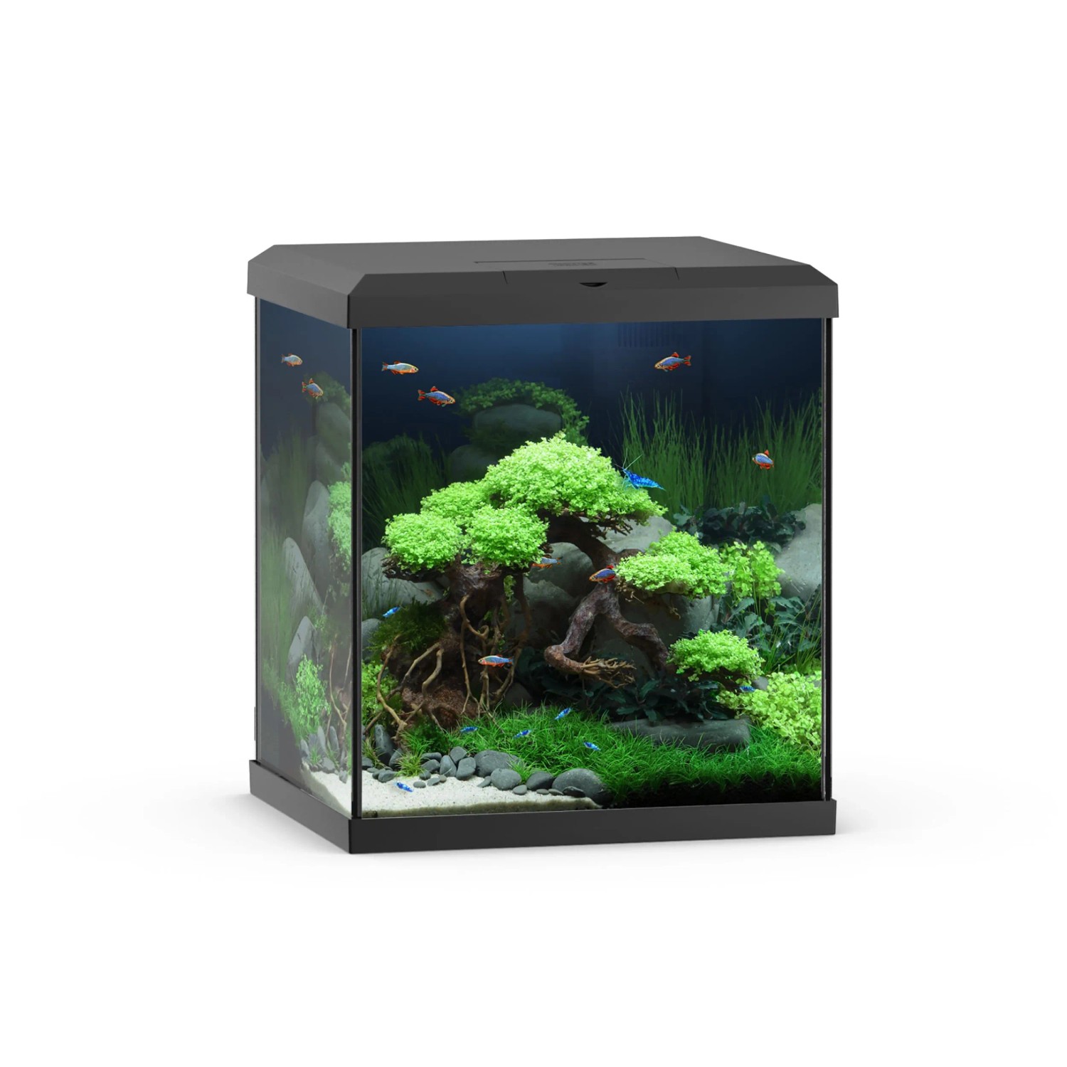 Juwel Aquarium-Set Vio Cube 54 LED SBX Schwarz