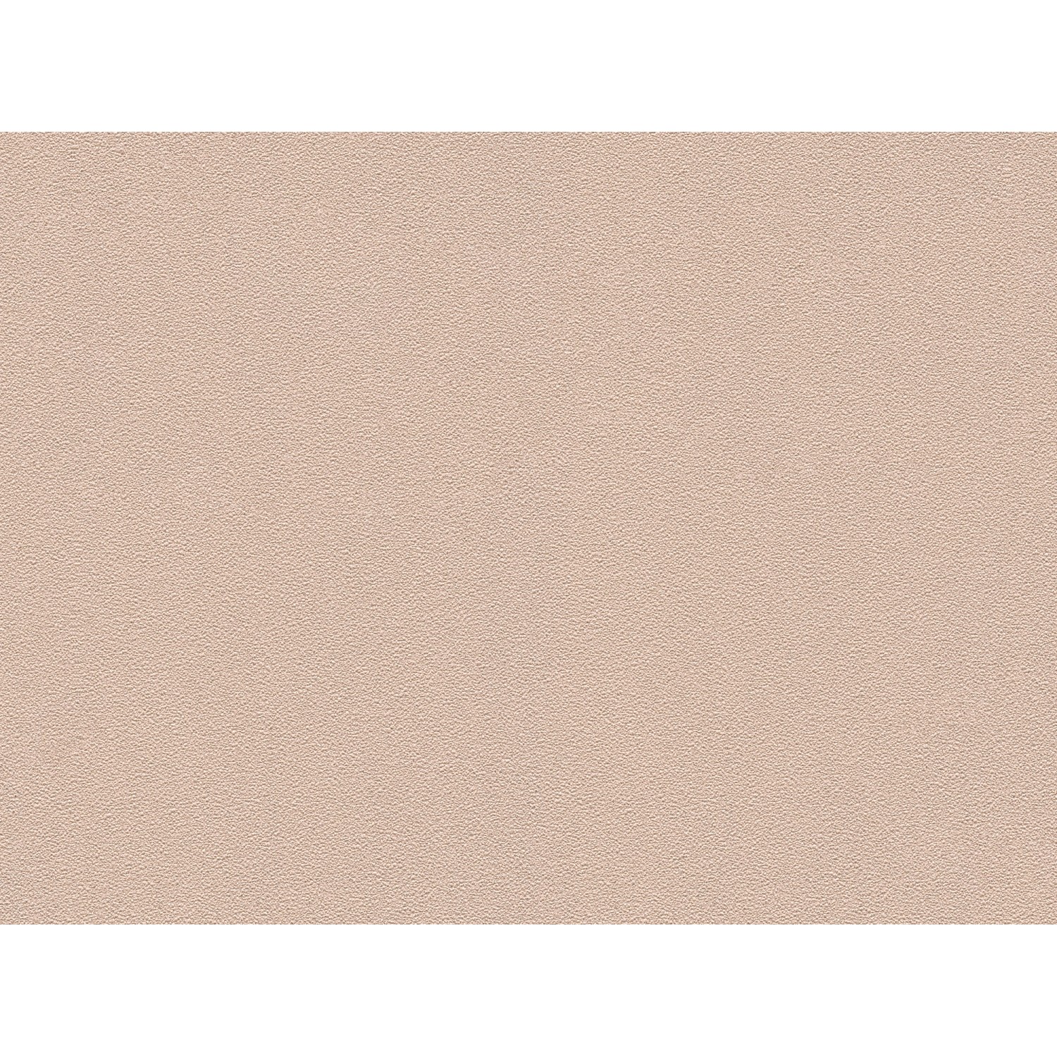 A.S. Création Vliestapete Trendwall Uni Beige-Braun FSC® günstig online kaufen