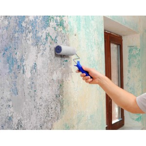 Auftragen der Knauf Rotband Universalgrundierung mit Farbroller auf eine Wand.