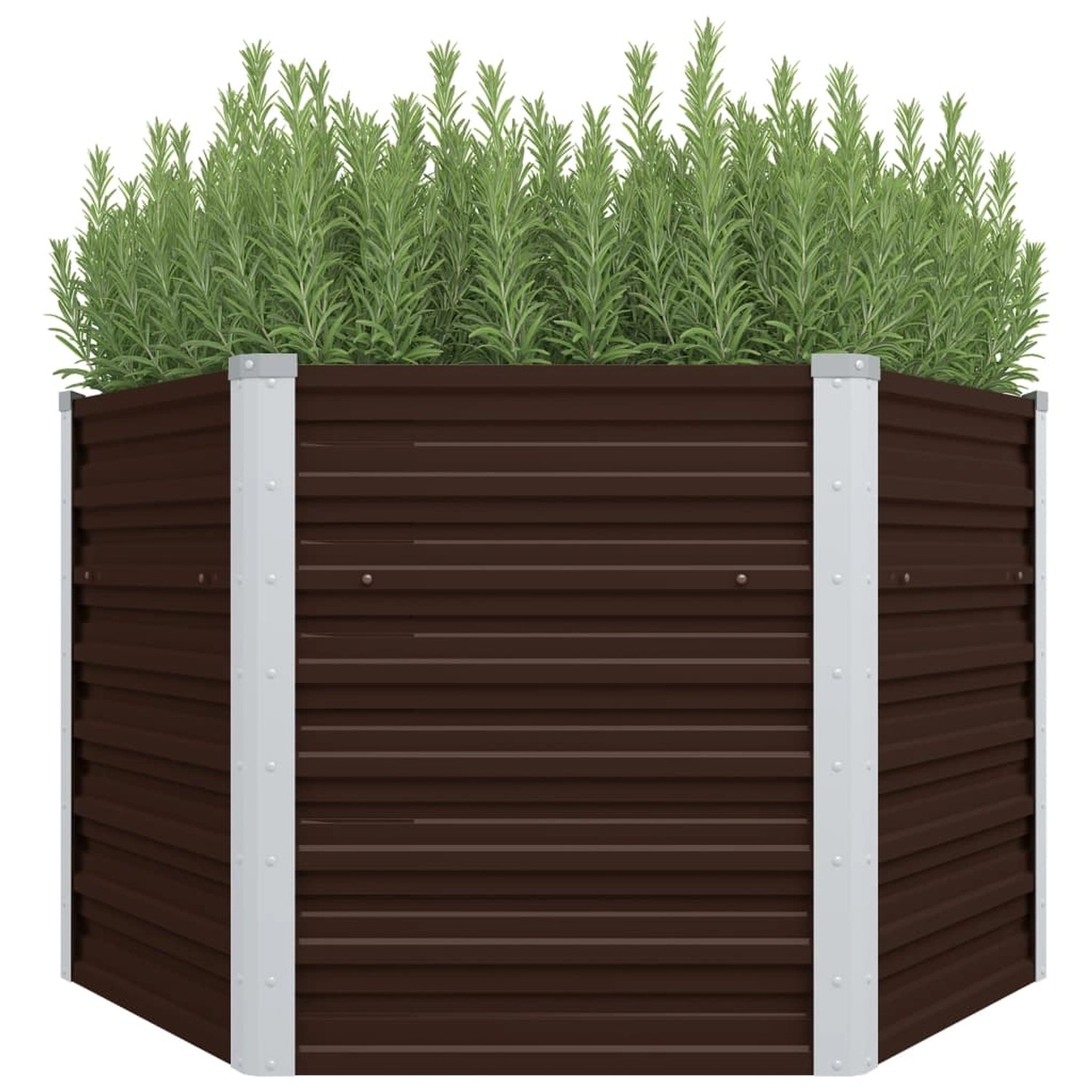 Thumbnail - furnicato Garten-Hochbeet Braun 129 x 129 x 77 cm Verzinkter Stahl