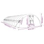 vidaXL Gewächshaus mit Stahlrahmen Grün 70 m² 14x5x2,3 m 3188088_12