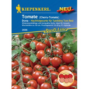 Kiepenkerl Cherry-Tomate Dona F1-Hybride Samen, leuchtend rote, kleine Tomaten an der Pflanze.