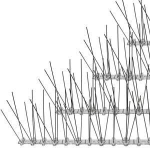 Niederberg Taubenabwehr mit Spikes aus Kunststoff und Metall, geeignet für Bedachungen und Dachrinnen.