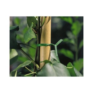 Grüner Drehbinder (15 cm) fixiert Pflanze an Bambusstab. Gartenhelfer für Rankpflanzen.