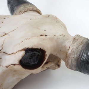Deko Schädel Longhorn A14: detailreiche, naturgetreue Dekofigur für Wandmontage.