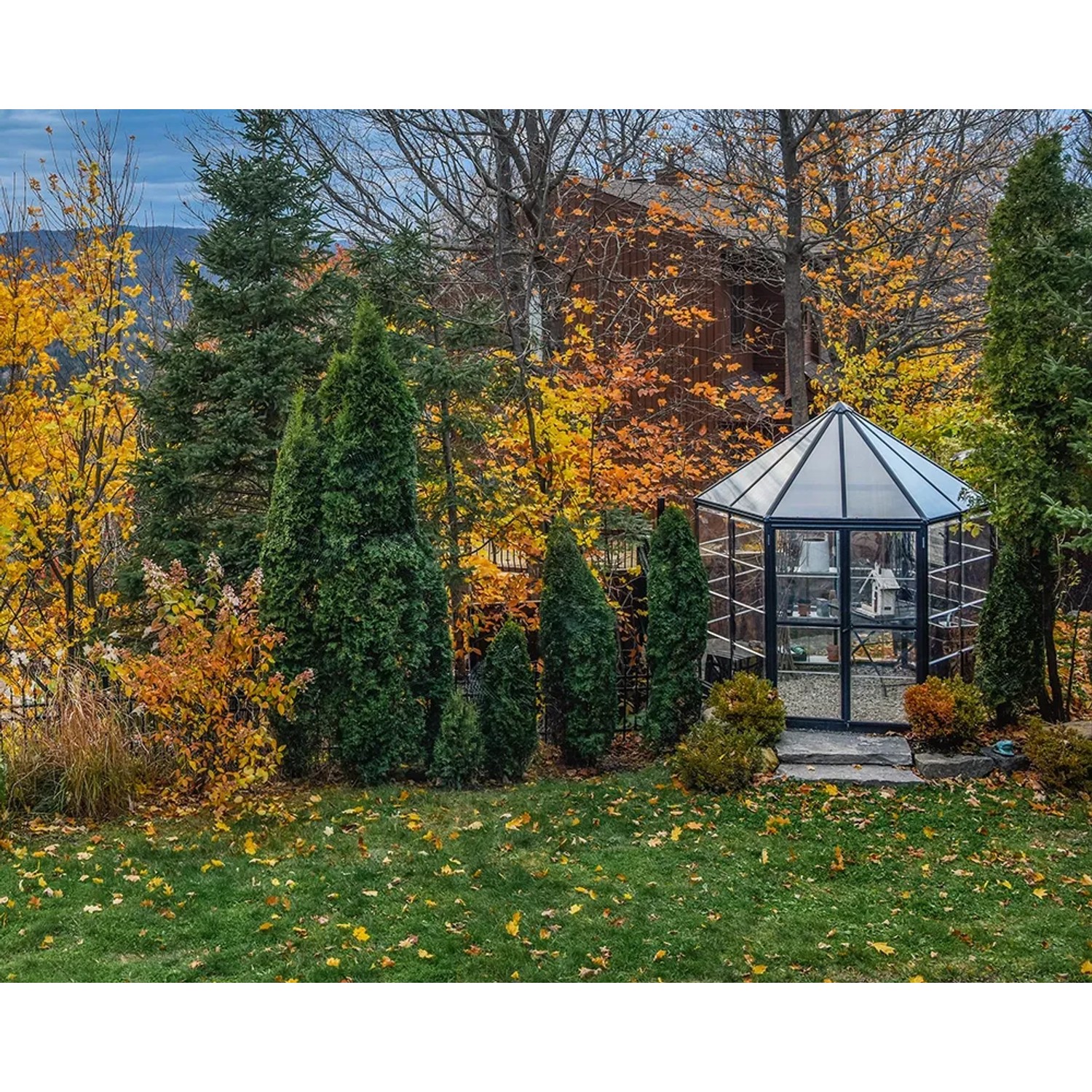 Sechseckiges Palram Canopia Oasis Gewächshaus im Garten mit Herbstlaub.