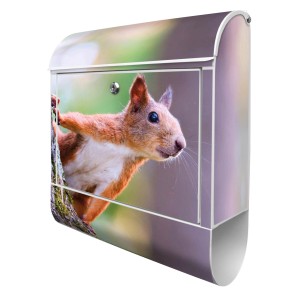 Weißer Banjado Design Briefkasten mit Eichhörnchen Motiv und Zeitungsfach.