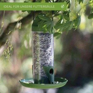 Schwarze Sonnenblumenkerne in transparenter Vogelfuttersäule, hängend an einem Baum. Energiereiches Wildvogelfutter.