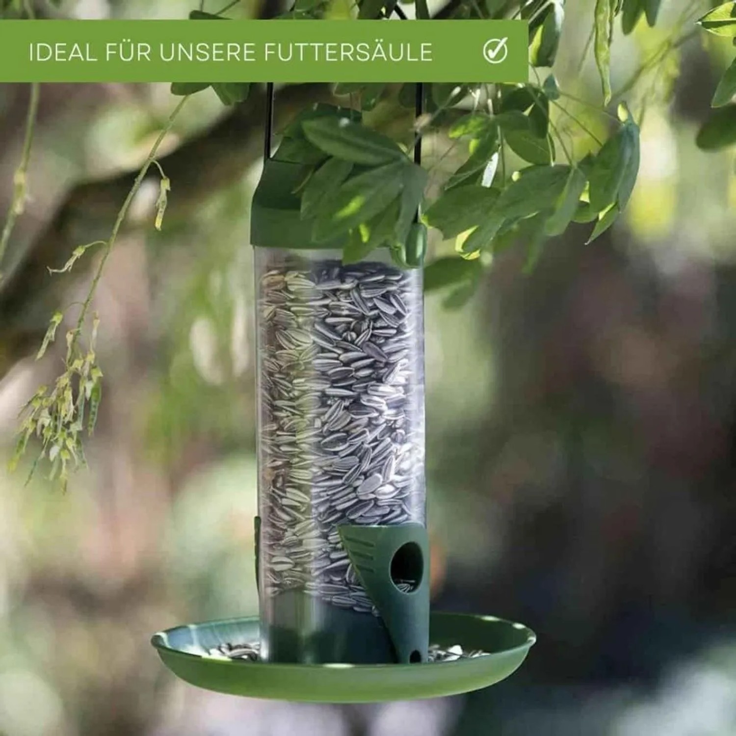 Schwarze Sonnenblumenkerne in transparenter Vogelfuttersäule, hängend an einem Baum. Energiereiches Wildvogelfutter.