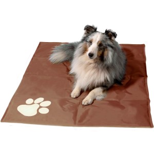 Hund liegt auf brauner Kühlmatte mit Pfotenmuster, 99,5x70cm. Dobar Hundekissen für Hunde und Katzen.