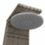 vidaXL Gartendusche Grau 55x60x224 cm Poly Rattan und Akazienholz 368210_9