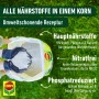 Compo RasenLangzeitdünger 20 kg kaufen bei OBI