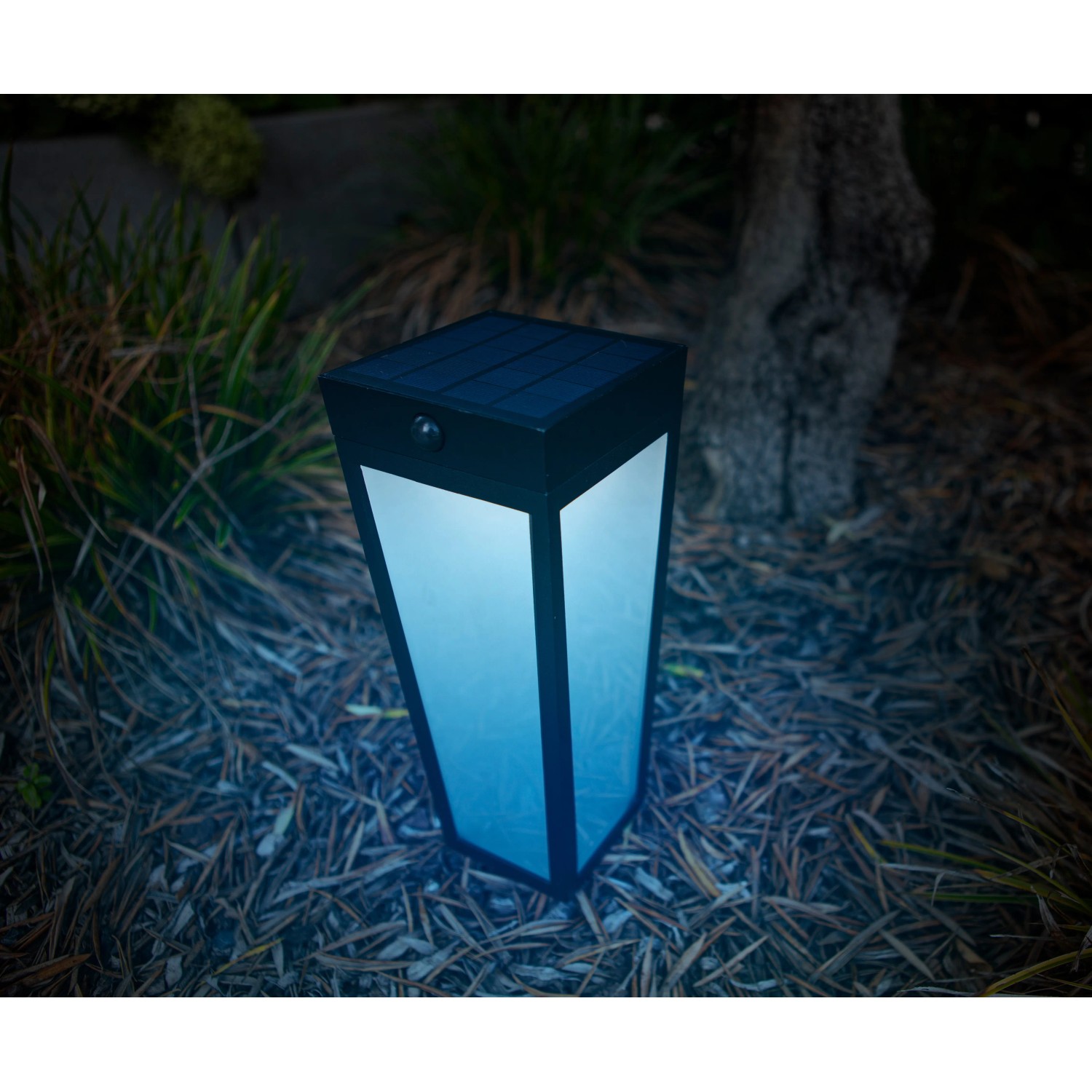 Moderne, mattschwarze Lutec LED Solar Wegeleuchte Dias im Garten.