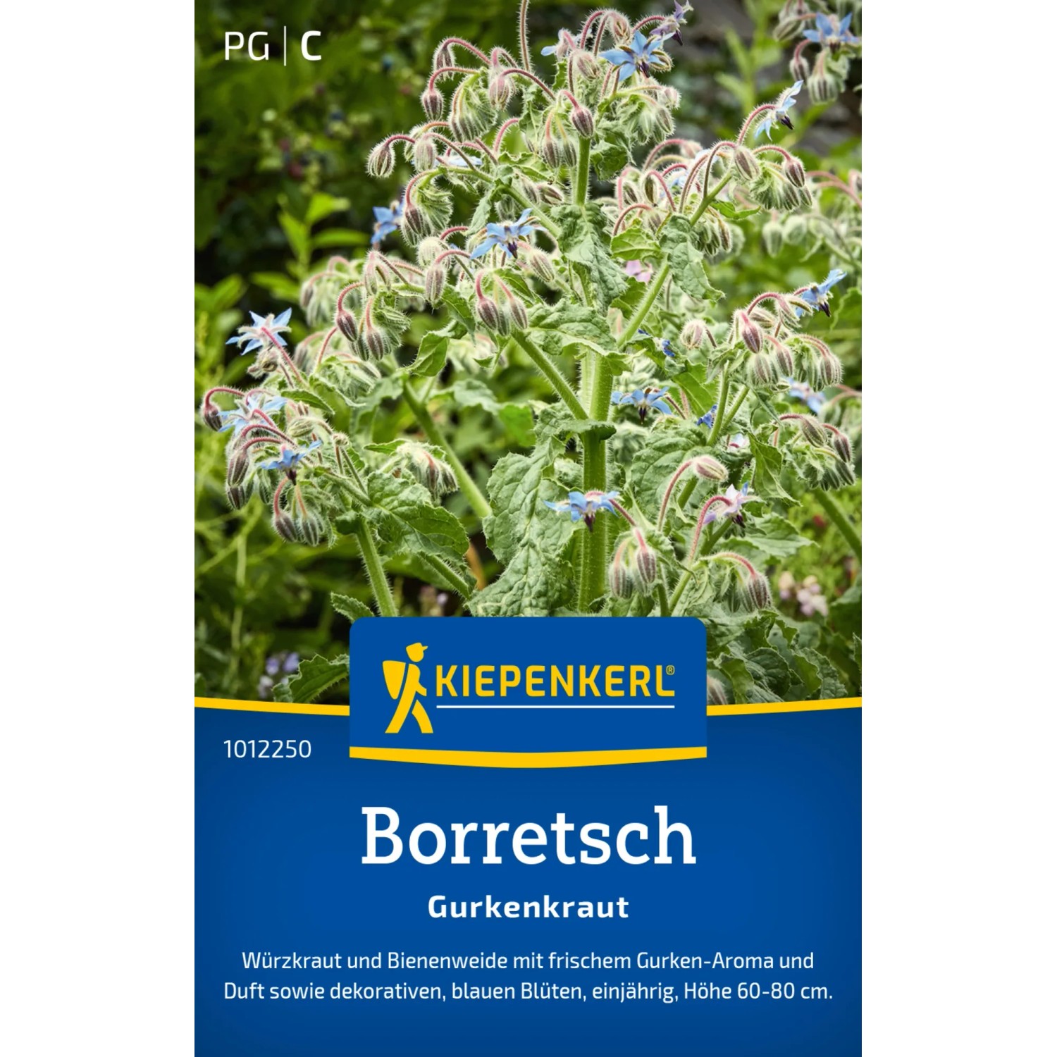 Kiepenkerl Borretsch "Gurkenkraut"