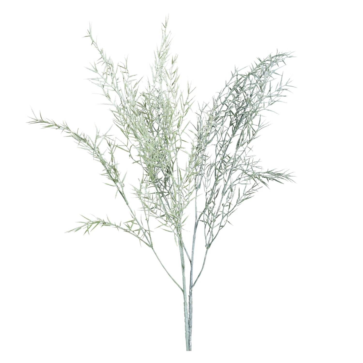 DPI Asparagus-Zweig 85 cm Grün 2-Fach Sortiert