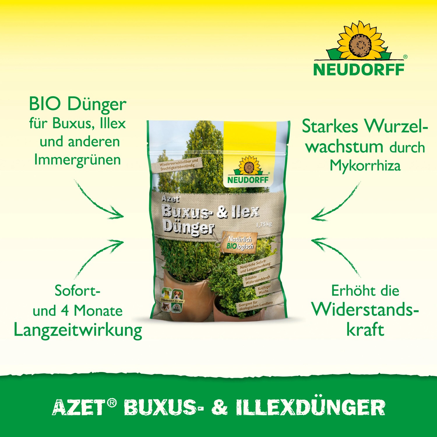 Neudorff Buchsbaum- & Ilex-Dnger Azet Langzeit 1,75 kg kaufen bei OBI