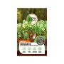 GROW by OBI Keimsprossen Mangold Regenbogen Mischung, Microgreen Saatgut.