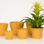 Scheurich Übertopf 808 in Curcuma, verschiedene Größen. Keramik Übertöpfe für den Innenbereich.