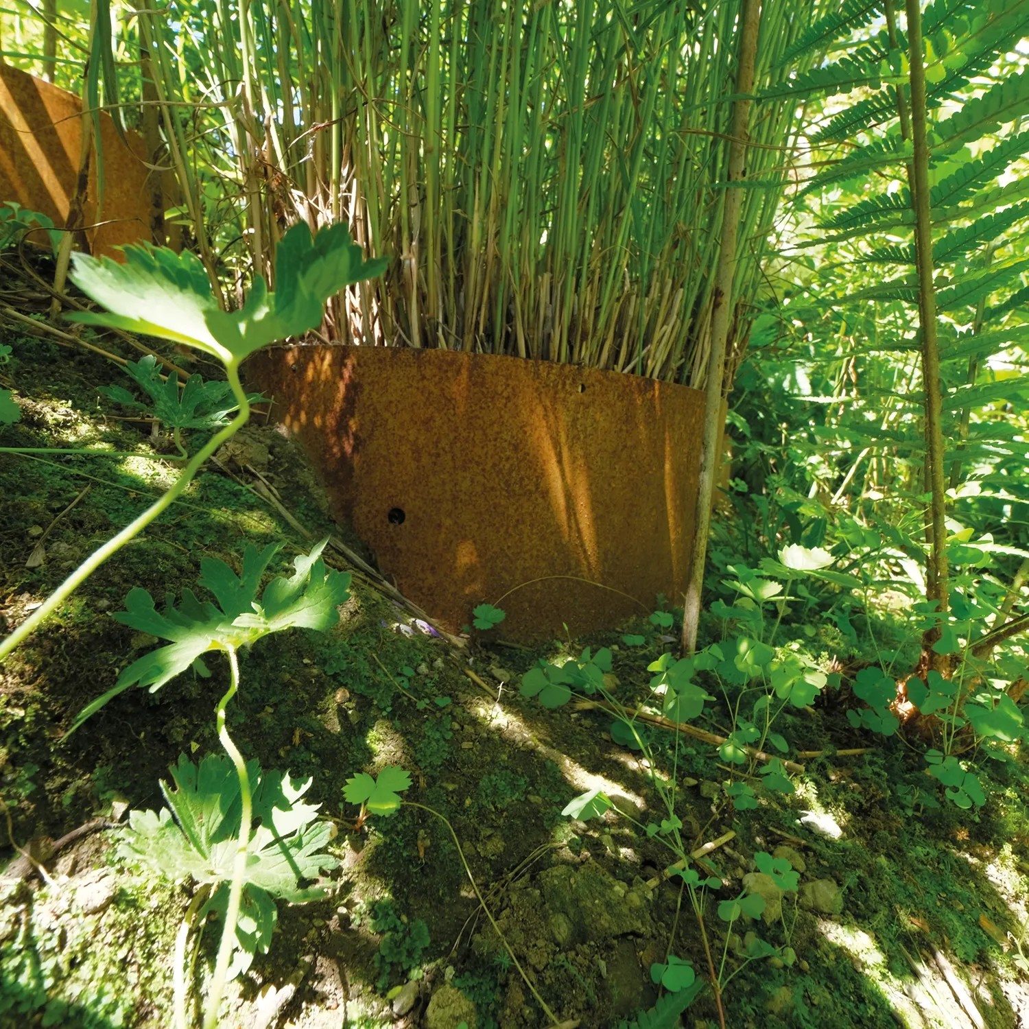 Bellissa Hangpflanzschale Collina Corten zur Hangbefestigung mit Bepflanzung im Garten.