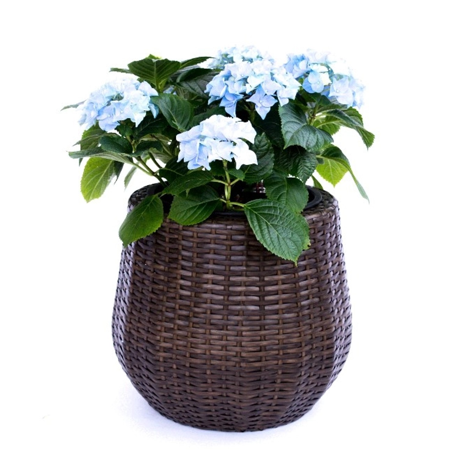 Elegant Einrichten Pflanzkübel Polyrattan Rund-Konisch D52xH44cm Mocca günstig online kaufen