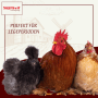 Supravit Legemehl für Hühner Geflügel_5