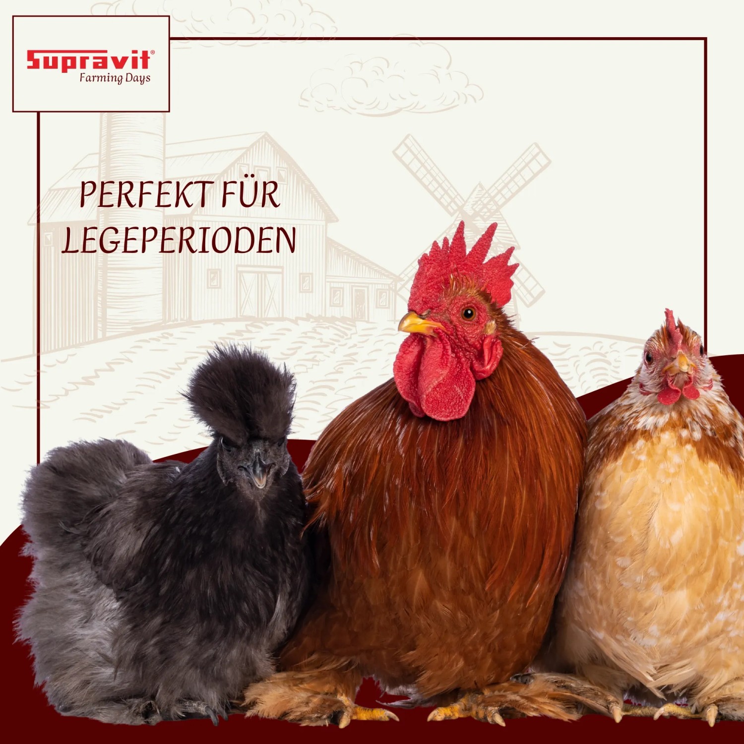 Supravit Legemehl für Hühner Geflügel_5