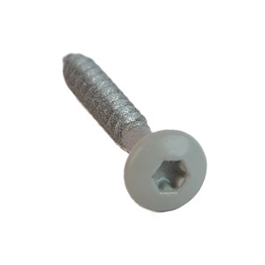 Graue Denpanels Schraube für Akustikpaneele, Linsenkopf mit TX20 Antrieb.