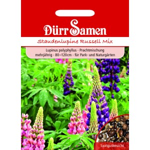 Dürr Samen Staudenlupine Prachtmischung: Mehrjährige Lupinen in verschiedenen Farben.