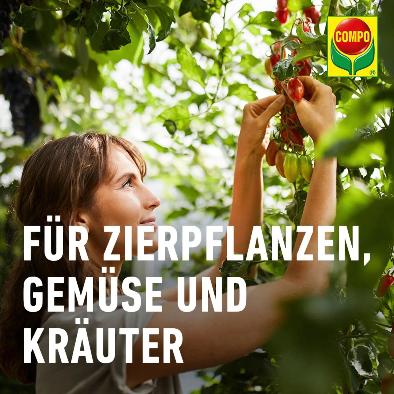 Frau im Garten mit Compo Schädlingsfrei Plus an Tomatenpflanze.