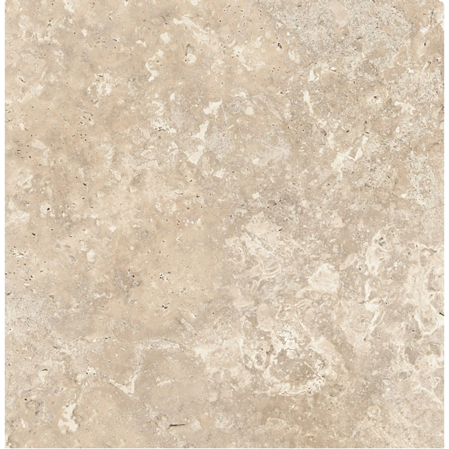 Bodenfliese Feinsteinzeug Camarque creme Creme Glasiert Matt 60 cm x 60 cm
