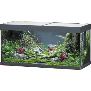 Eheim VivalineLED 180 Aquarium-Komplettset, anthrazit, 180 l, mit Pflanzen und Deko.