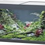 Eheim VivalineLED 180 Aquarium-Komplettset, anthrazit, 180 l, mit Pflanzen und Deko.