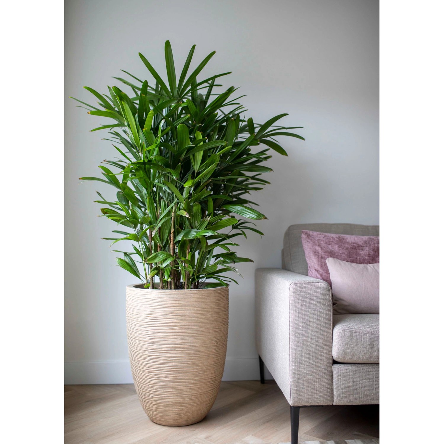 Beiger Capi Übertopf "Waste Rib NL" Terrazzo, 34x46 cm, mit Pflanze im Wohnraum.