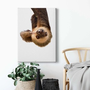 Leinwandbild: Lustiges Faultier hängt kopfüber. Tierfotografie für die Wanddekoration im Wohnzimmer.