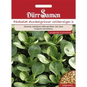 Dürr Samen Feldsalat Dunkelgrüner Vollherziger Saatgut Vorteilspack