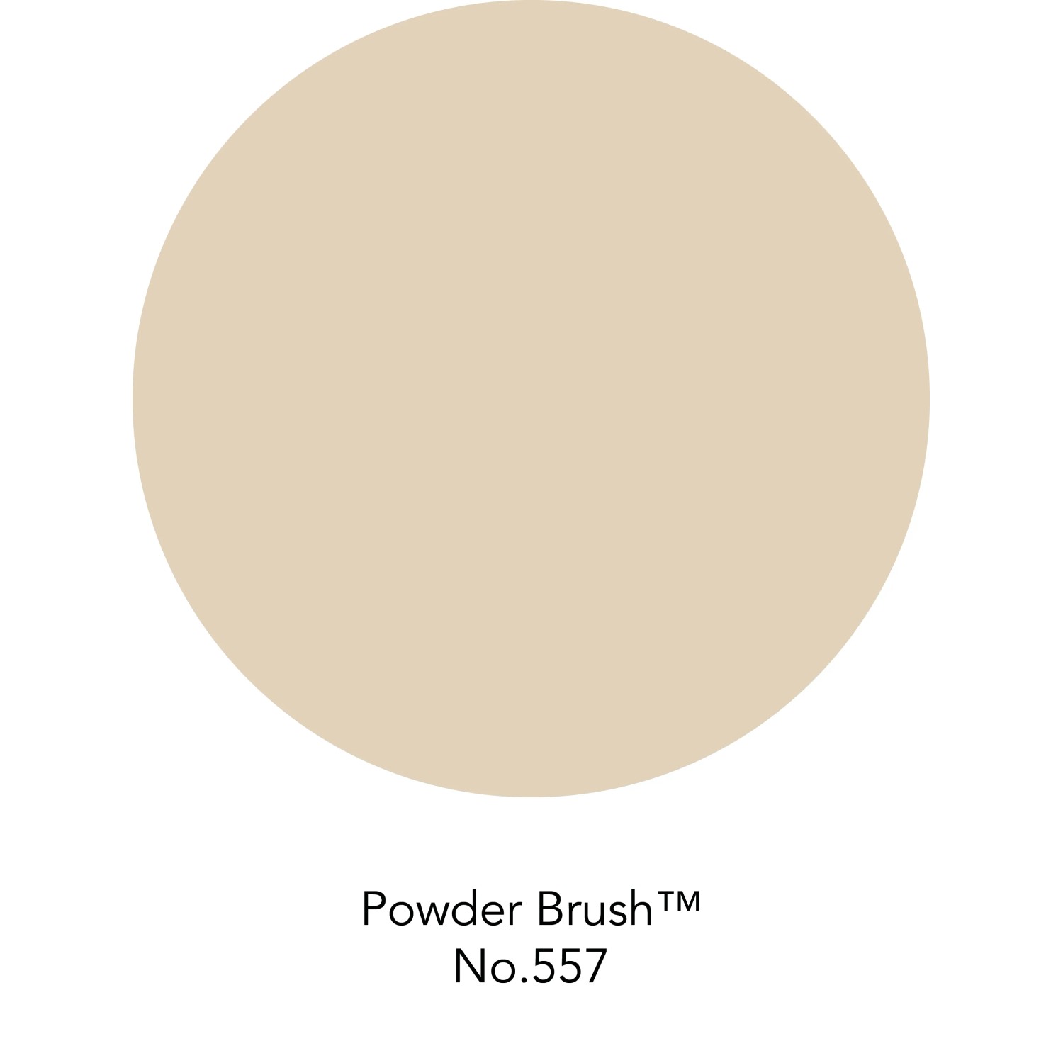 ELLE DECORATION Wandfarbe Powder Brush No. 557, matte, pudrige Beige-Nuance.