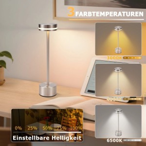 NETTLIFE LED Tischlampe aus Metall L32cm Silber Modell T10100C331XI