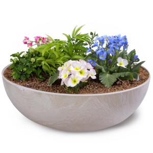 Pflanzschale, sandfarben marmoriert, 25x9 cm, bepflanzt mit bunten Frühlingsblumen.