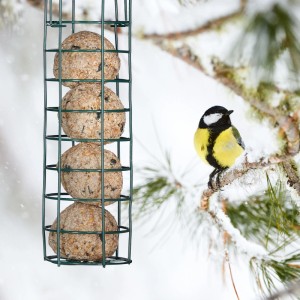Dunkelgrüner Relaxdays Meisenknödelhalter (3er Set) mit Meisenknödeln und einer Meise im Schnee.