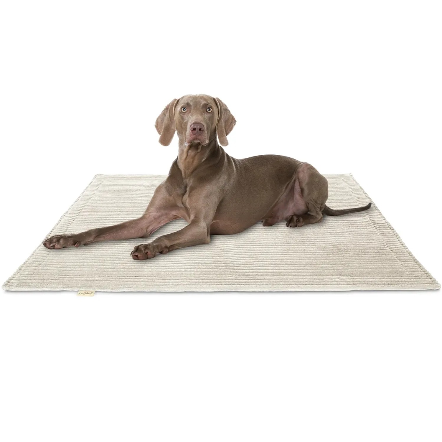 Beige Knuffelwuff Hundematte Timor Cord (100x70cm) mit liegendem Hund.
